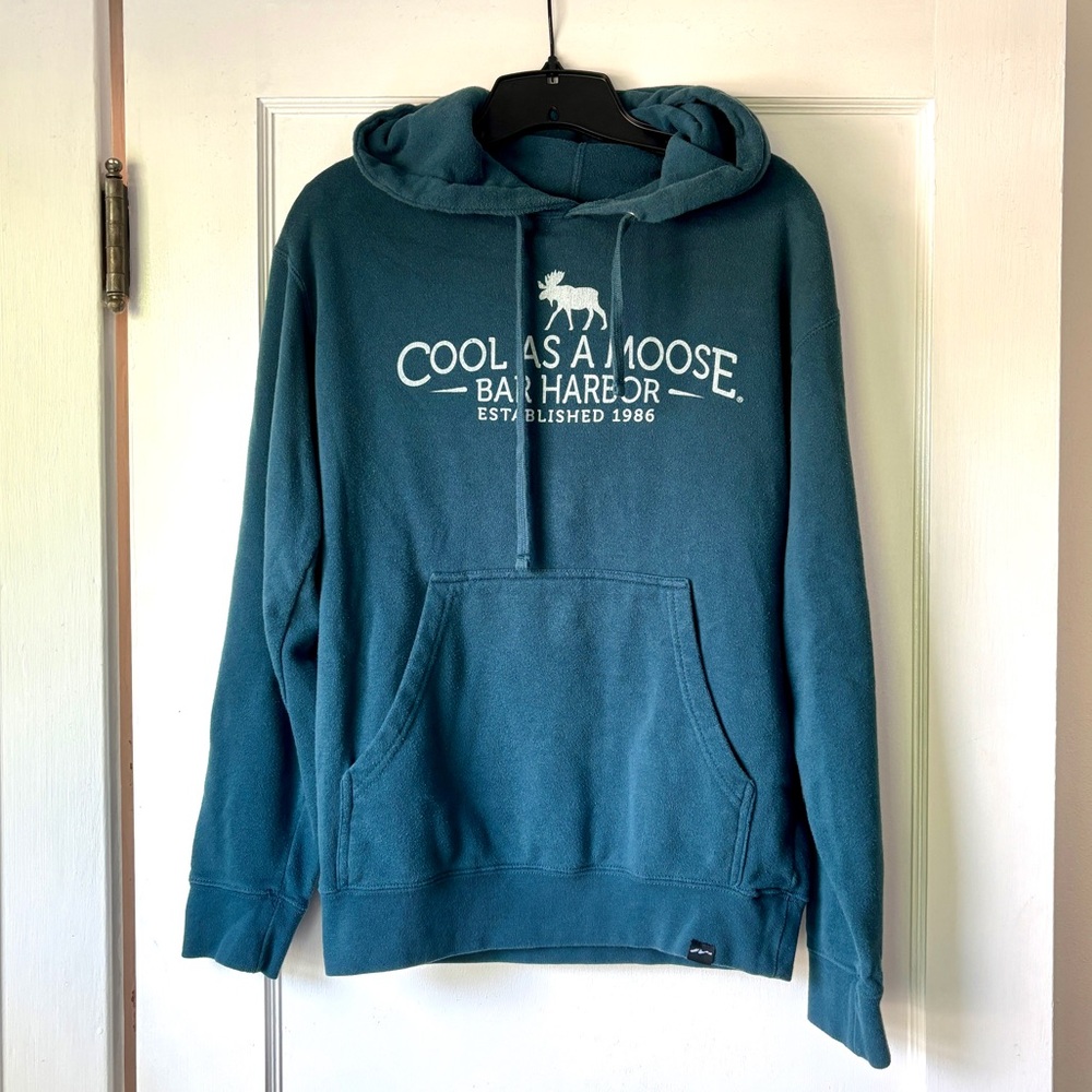 Cool as a Moose Bar Harbor Maine hoodie